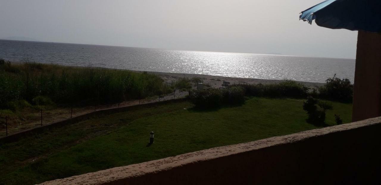 Cala Di Sognu Leilighet Moriani Plage Eksteriør bilde